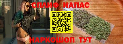 стафф Гай