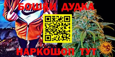 стафф Гай