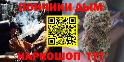 дмт Гатчина