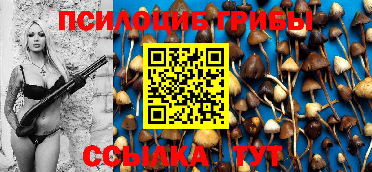 Галлюциногенные грибы прущие грибы Обнинск