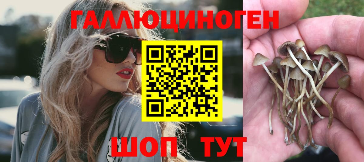 Псилоцибиновые грибы прущие грибы  Псилоцибиновые грибы Magic Shrooms  Обнинск  Вход с VPN 